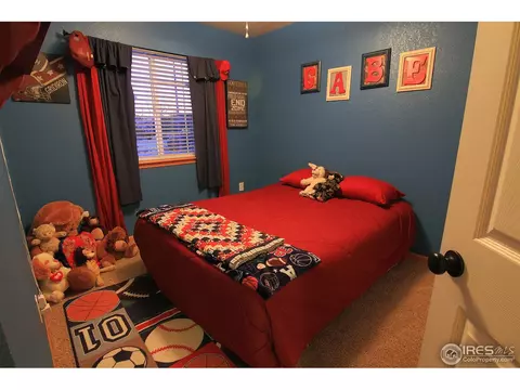 338 Amber Dr, Windsor, CO 80550 photo 17