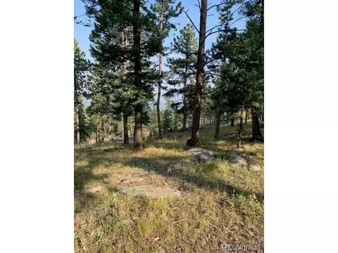 23805 Mormon Dr, Conifer, CO 80433 photo 36