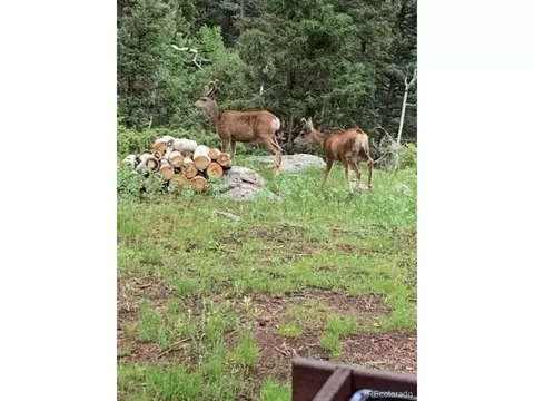 23805 Mormon Dr, Conifer, CO 80433 photo 34