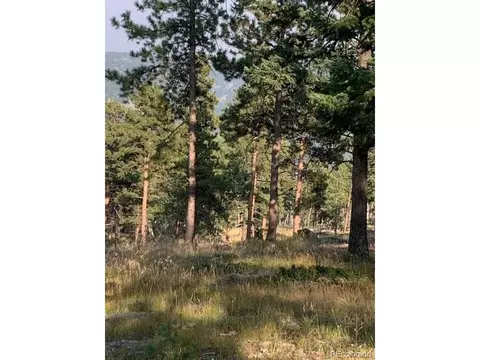 23805 Mormon Dr, Conifer, CO 80433 photo 35