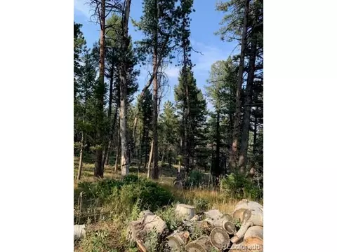 23805 Mormon Dr, Conifer, CO 80433 photo 37