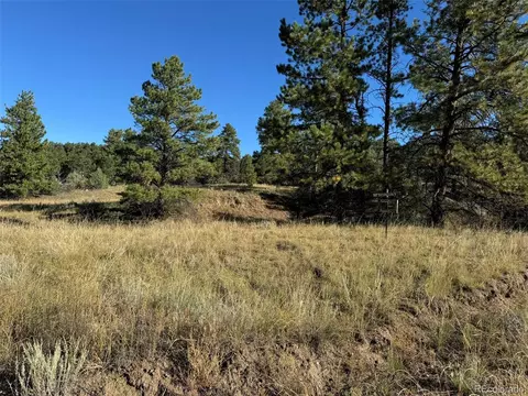 335 Silver Ln, Cotopaxi, CO 81223