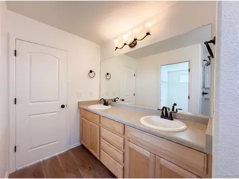 Bath - 1726 Thrive Dr, Windsor, CO 80550 photo 3 of 5