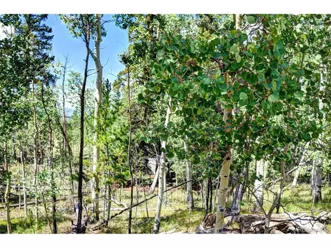 266 Timberline Dr, Guffey, CO 80820