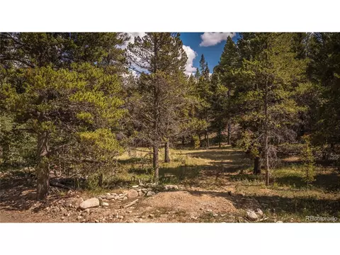 670 Venture Rd, Fairplay, CO 80440