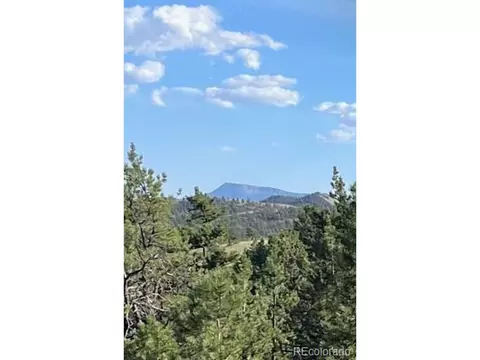 0 Hiawatha Cir, Hartsel, CO 80449