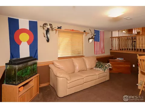 335 Laurel Ave, Eaton, CO 80615 photo 10