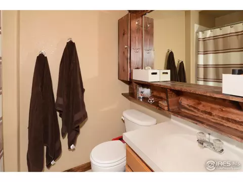 335 Laurel Ave, Eaton, CO 80615 photo 17