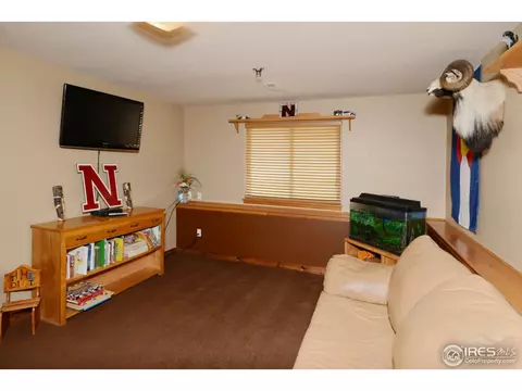 335 Laurel Ave, Eaton, CO 80615 photo 11