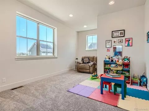 9358 E 60th Pl, Denver, CO 80238 photo 27