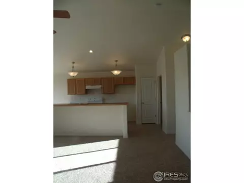 5775 Vine Ave, Firestone, CO 80504 photo 5