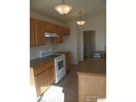 5775 Vine Ave, Firestone, CO 80504 photo 10