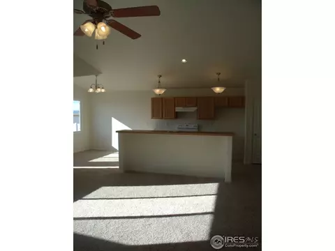5775 Vine Ave, Firestone, CO 80504 photo 6