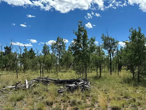 38 Meadow Dr, Como, CO 80432 photo 8