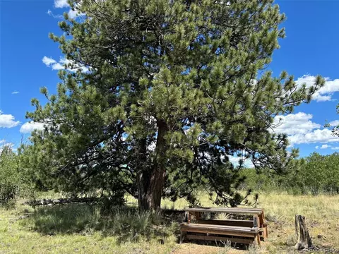 38 Meadow Dr, Como, CO 80432 photo 5