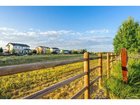 8440 Allenbrook Dr, Windsor, CO 80550 photo 40