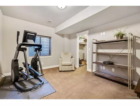 8440 Allenbrook Dr, Windsor, CO 80550 photo 33