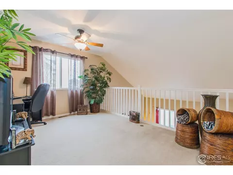10046 E 112th Way, Henderson, CO 80640 photo 19