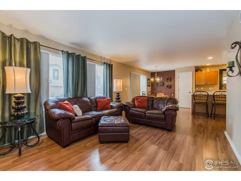 10046 E 112th Way, Henderson, CO 80640 photo 8