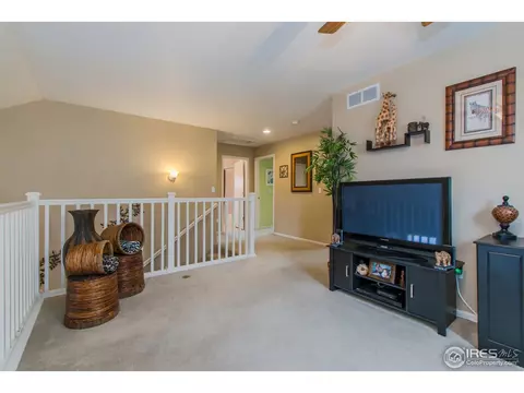 10046 E 112th Way, Henderson, CO 80640 photo 18