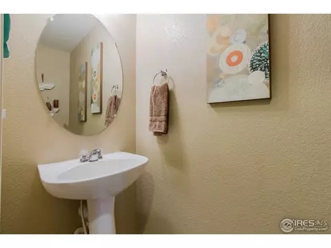 10046 E 112th Way, Henderson, CO 80640 photo 23
