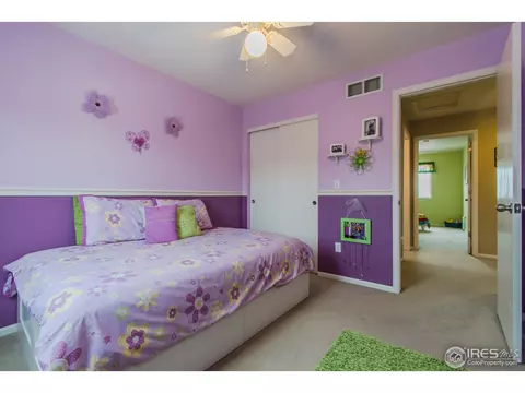 10046 E 112th Way, Henderson, CO 80640 photo 21