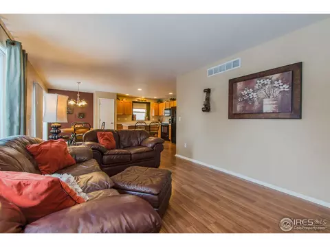 10046 E 112th Way, Henderson, CO 80640 photo 7