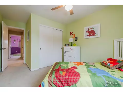 10046 E 112th Way, Henderson, CO 80640 photo 20