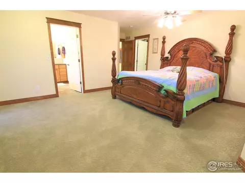 36763 Brian Ave, Windsor, CO 80550 photo 17