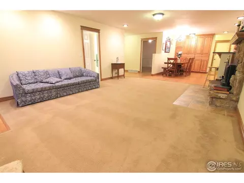 36763 Brian Ave, Windsor, CO 80550 photo 11
