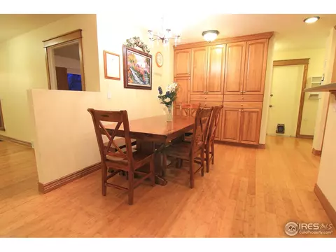 36763 Brian Ave, Windsor, CO 80550 photo 13