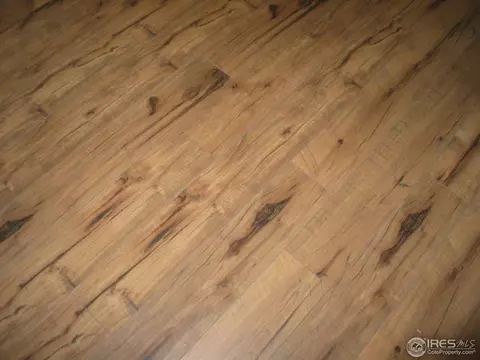10120 Deerfield St, Longmont, CO 80504 photo 9