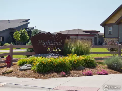 5708 Aksarben Dr, Windsor, CO 80550 photo 11