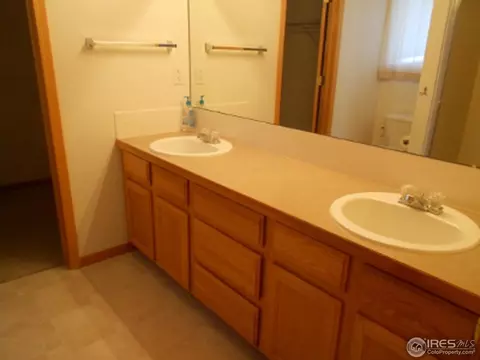 829 Durum St, Windsor, CO 80550 photo 13