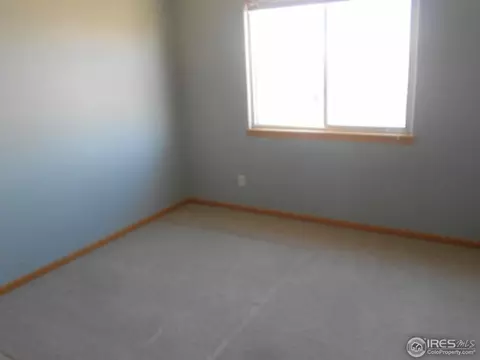 829 Durum St, Windsor, CO 80550 photo 9