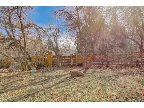 2120 Iris Ave, Boulder, CO 80304 photo 37