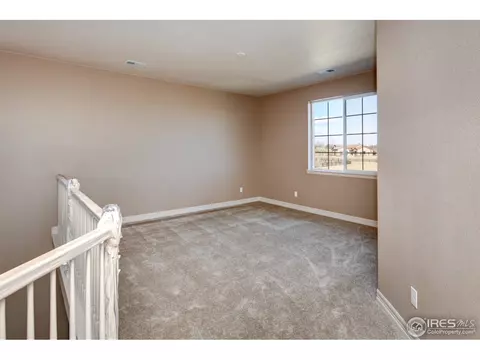 1018 Waterfall St, Timnath, CO 80547 photo 10