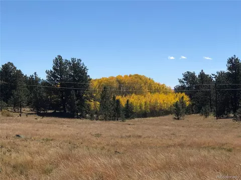 306 Jasper Way, Hartsel, CO 80449