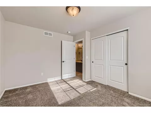 258 Castle Dr, Windsor, CO 80550 photo 25