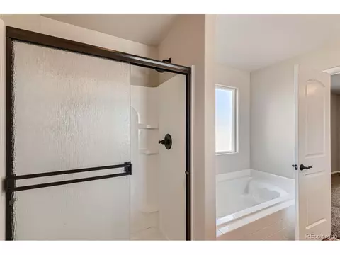258 Castle Dr, Windsor, CO 80550 photo 19