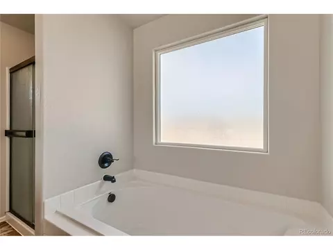 258 Castle Dr, Windsor, CO 80550 photo 18