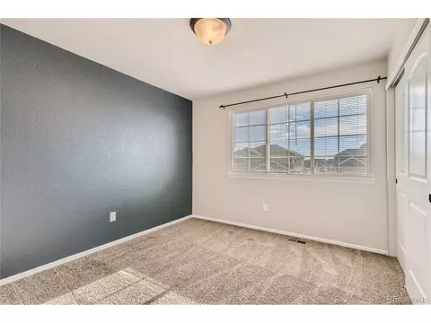 258 Castle Dr, Windsor, CO 80550 photo 22
