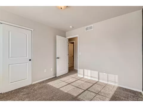 258 Castle Dr, Windsor, CO 80550 photo 23