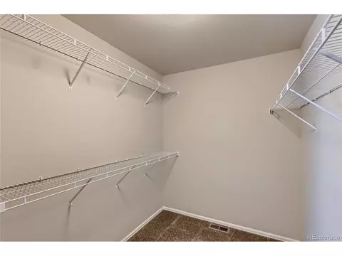 258 Castle Dr, Windsor, CO 80550 photo 20