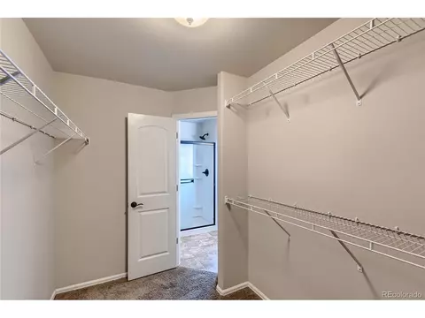 258 Castle Dr, Windsor, CO 80550 photo 21