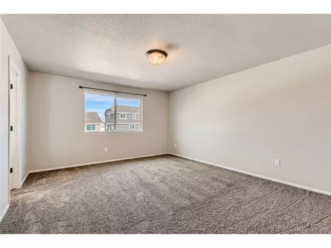 258 Castle Dr, Windsor, CO 80550 photo 15