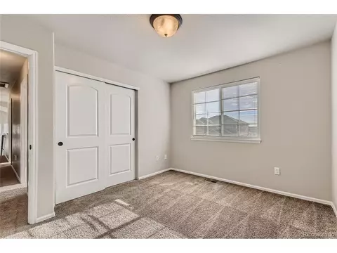 258 Castle Dr, Windsor, CO 80550 photo 24