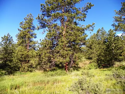 2017 Kendall Dr, Estes Park, CO 80517 photo 10