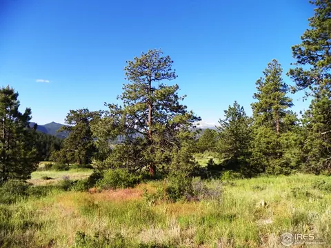 2017 Kendall Dr, Estes Park, CO 80517 photo 3