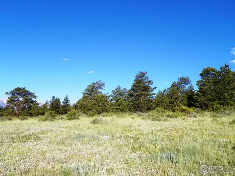 2017 Kendall Dr, Estes Park, CO 80517 photo 4